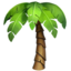 🌴 🌴