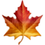 🍁 🍁