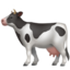 :cow2: 🐄