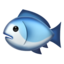 🐟 🐟