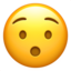 :hushed: đŻ