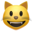 😺 😺