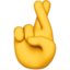 :hand_with_index_and_middle_fingers_crossed: 🤞