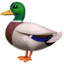 🦆 🦆