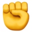 :fist: ✊