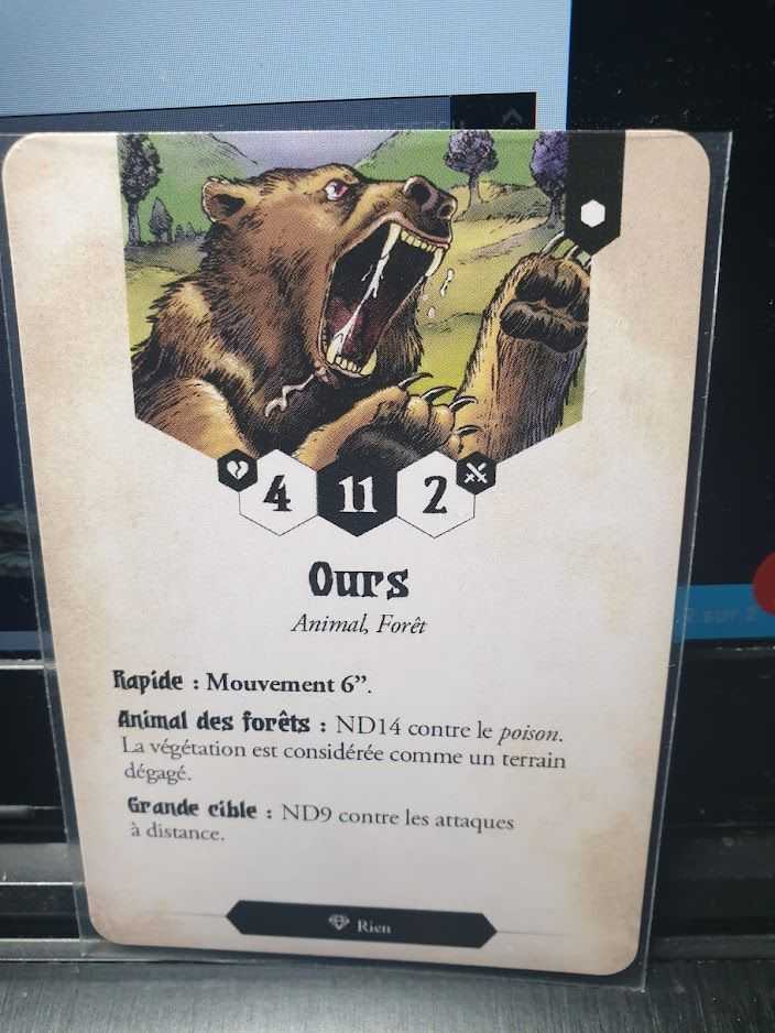 DIO22-0016 - S et S - Ours.jpg