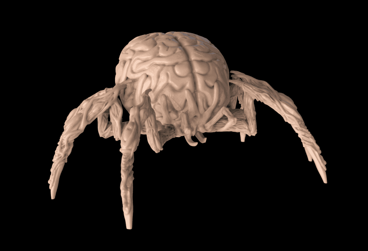 brain spider V1-min.png