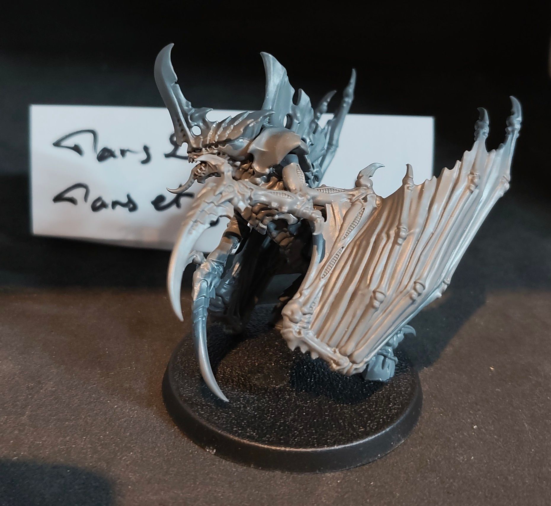 IMG_20260302_200238793 (1).jpg