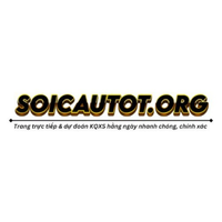 soicautotorg