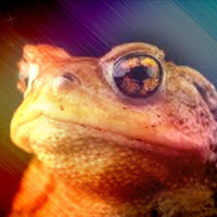 Crapal