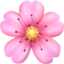:cherry_blossom: 🌸