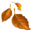 :fallen_leaf: 🍂