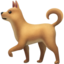 :dog2: 🐕