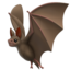 :bat: 🦇